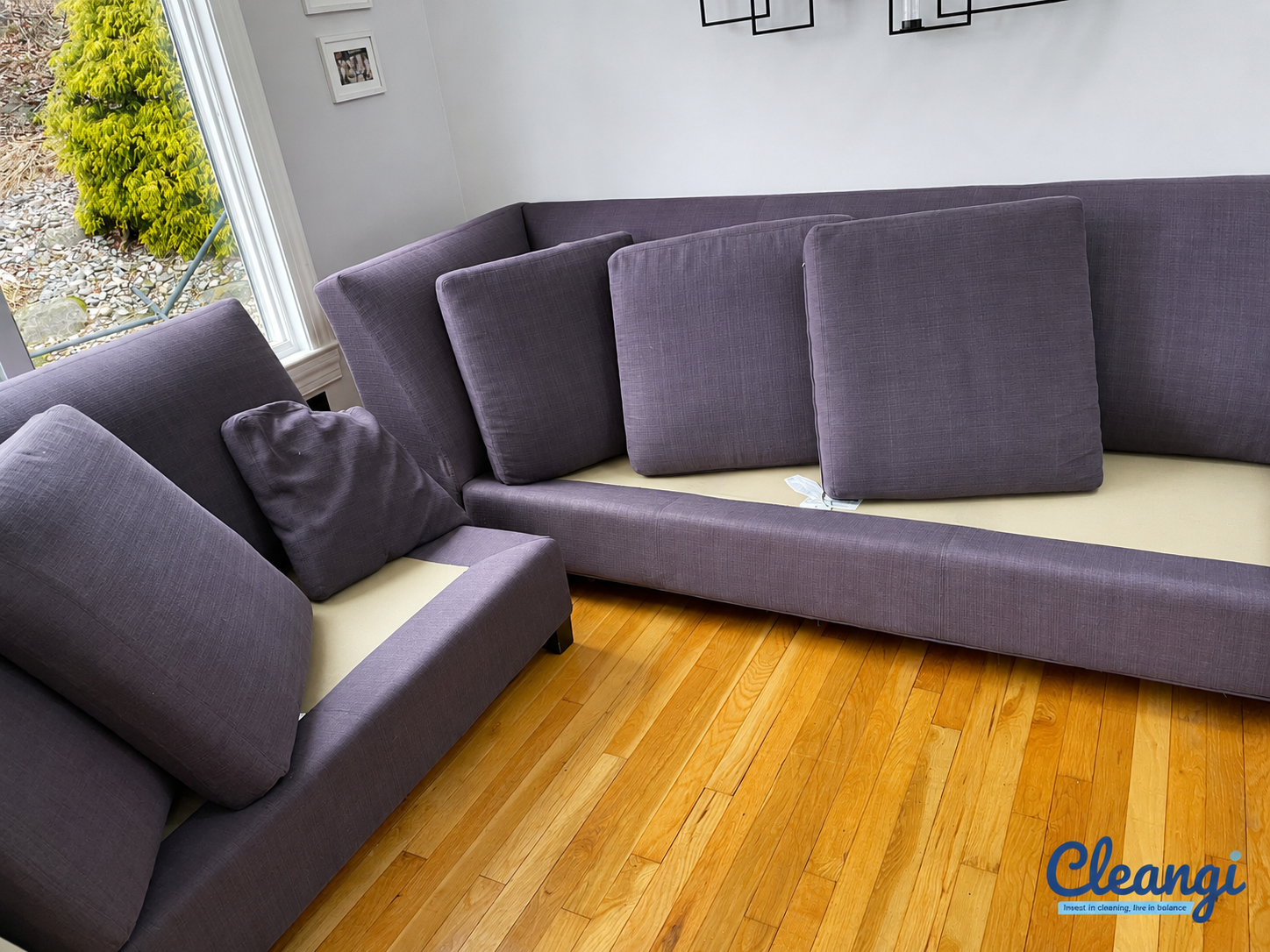 Carpet & Upholstery Cleaning